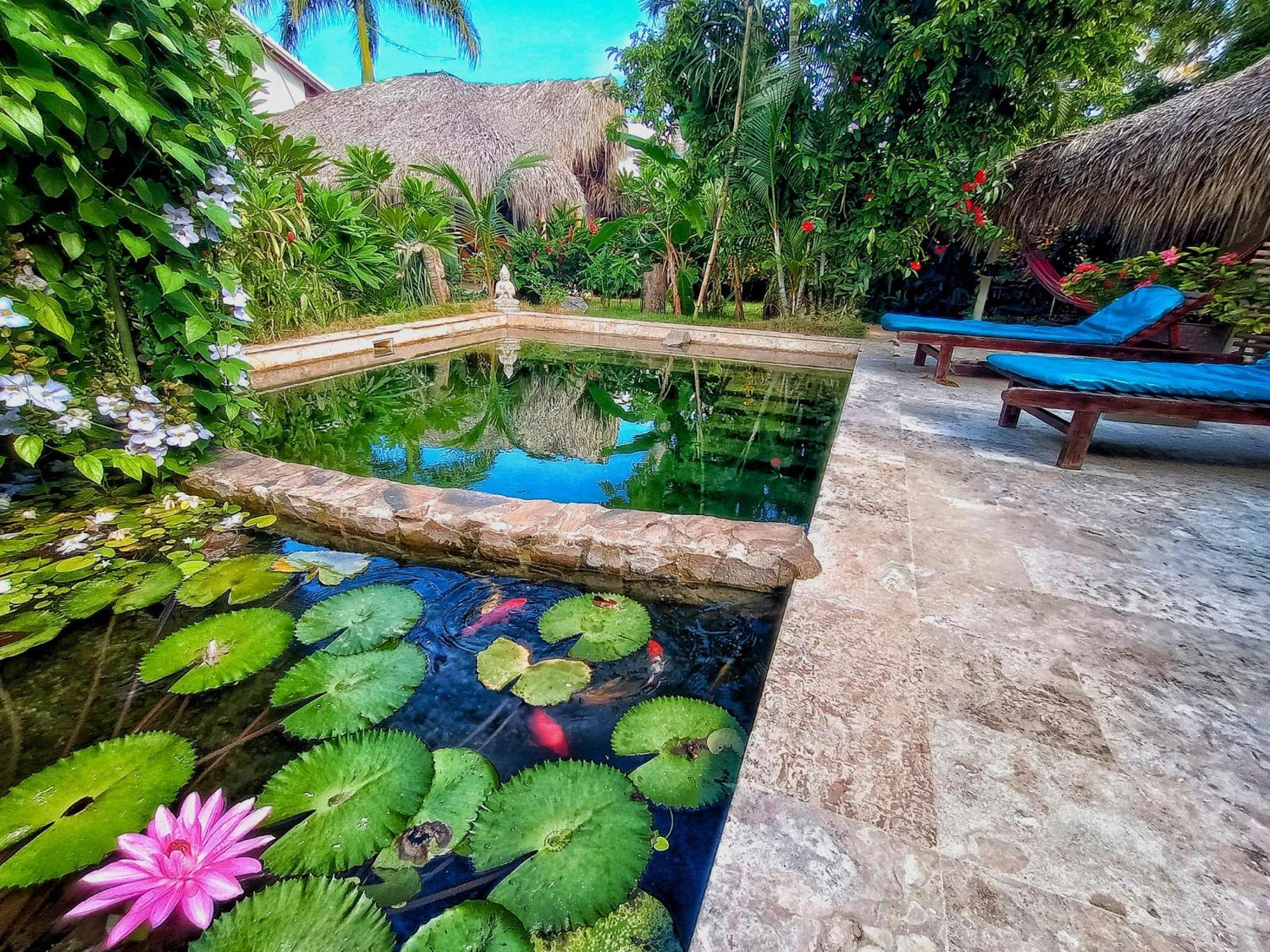 Dream Glamping Jungle Bohio Hotel ลาสแตร์เรนาส ภายนอก รูปภาพ