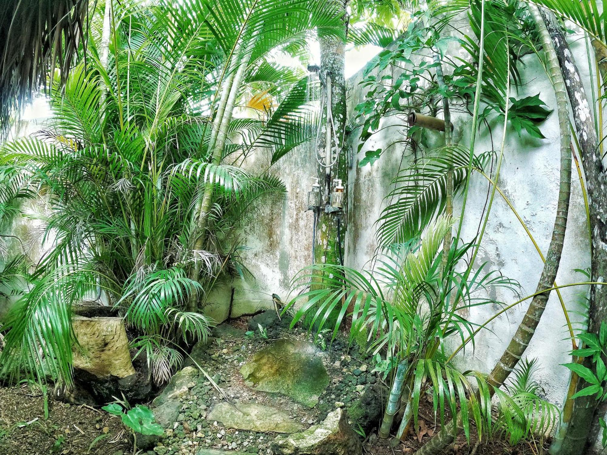 Dream Glamping Jungle Bohio Hotel ลาสแตร์เรนาส ภายนอก รูปภาพ