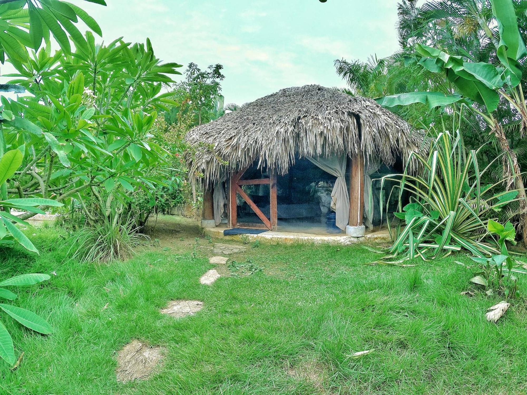 Dream Glamping Jungle Bohio Hotel ลาสแตร์เรนาส ภายนอก รูปภาพ